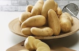 Pomme de terre de consommation à chair ferme - PRINCESSE AMANDINE - Super U à Conflans-Sainte-Honorine Pomme de terre de consommation à chair ferme - PRINCESSE AMANDINE en promo chez Super U Conflans-Sainte-Honorine à 3,19 €