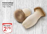 Kräuterseitlinge im Angebot bei GLOBUS in Jena Kräuterseitlinge Angebote bei GLOBUS Jena für 2,79 €