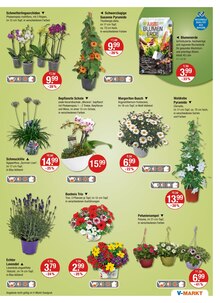 Blumenerde im aktuellen V-Markt Prospekt (Augsburg) Blumenerde im V-Markt Prospekt "V-Markt einfach besser einkaufen" mit 25 Seiten (Augsburg)