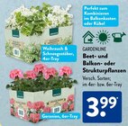 Weihrauch & Schneegestöber von Gardenline im aktuellen ALDI SÜD Prospekt für 3,99 €