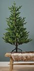 Weihnachtsbaum für 129,00 € bei Opti-Wohnwelt im Angebot Weihnachtsbaum im aktuellen Opti-Wohnwelt Prospekt