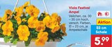 Viola Festival Ampel im Angebot bei Netto Marken-Discount in Lünen Viola Festival Ampel Angebote bei Netto Marken-Discount Lünen für 5,99 €