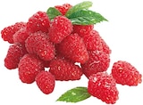 Bio Himbeeren im Angebot bei REWE in Reutlingen Bio Himbeeren Angebote von REWE bei REWE Reutlingen für 2,99 €