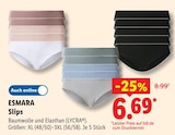 Slips im Angebot bei Lidl in Haltern am See Slips Angebote von ESMARA bei Lidl Haltern am See für 6,69 €