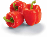 Paprika rot im Angebot bei Netto Marken-Discount in Wismar Paprika rot Angebote bei Netto Marken-Discount Wismar für 1,35 €