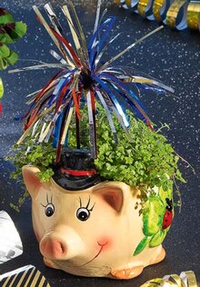 Glücksbringer bei ALDI SÜD in Waiblingen Glücksbringer im Angebot bei ALDI SÜD Waiblingen für 2,99 €