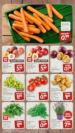 Tomaten Angebot & Preis im aktuellen nahkauf Prospekt Tomaten Angebot im aktuellen nahkauf Prospekt auf Seite 3
