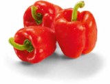 Aktuelle Paprika Angebote bei Netto Marken-Discount in Moers Aktuelles Paprika rot Angebot bei Netto Marken-Discount in Moers ab 1,45 €
