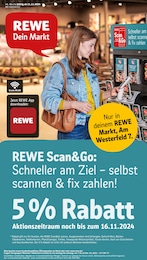 REWE Prospekt "Dein Markt" für Soltau, 30 Seiten, 11.11.2024 - 16.11.2024