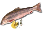 Aktuelle Fisch Angebote bei Kaufland in Göttingen Aktuelles Saibling Angebot bei Kaufland in Göttingen ab 1,59 €