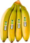 EDEKA Bio im Angebot bei EDEKA in Greifswald EDEKA Bio Angebote bei EDEKA Greifswald für 1,89 €
