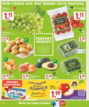 Äpfel im Marktkauf Prospekt in Bad Salzuflen Aktueller Marktkauf Prospekt mit Äpfel, "Aktuelle Angebote", Seite 2