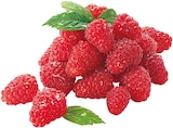REWE Lübz - Himbeeren Angebot im Prospekt Himbeeren bei REWE im Lübz Prospekt für 0,80 €