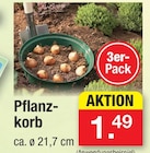 Aktuelle Blumentopf Angebote bei Zimmermann in Hildesheim Aktuelles Pflanzkorb Angebot bei Zimmermann in Hildesheim ab 1,49 €