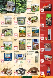 Aktueller GLOBUS Prospekt mit Holz, "Aktuelle Angebote", Seite 21