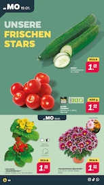 Aktueller Netto mit dem Scottie Prospekt mit Tomaten, "Günstig. Besser. Für Dich.", Seite 2