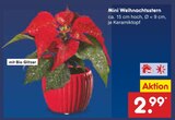 Mini Weihnachtsstern Angebote bei Netto Marken-Discount Herne für 2,99 €