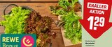 Wurzelsalat Angebote bei REWE Rüsselsheim für 1,29 €