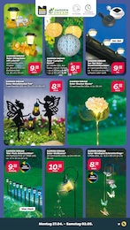 Windspiele Angebot im aktuellen Netto mit dem Scottie Prospekt auf Seite 21