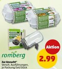 Zur Anzucht Angebote von Romberg bei Penny Schwabach für 2,99 €