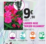 Laurier Rose "Nerium Oleander" en promo chez E.Leclerc Laurier Rose "Nerium Oleander" dans le catalogue E.Leclerc