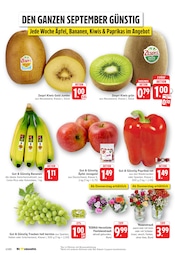 Äpfel im EDEKA Prospekt in Pirmasens Aktueller EDEKA Prospekt mit Äpfel, "Aktuelle Angebote", Seite 6