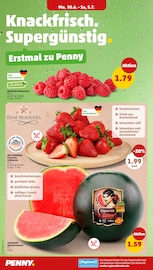 Aktueller Penny Prospekt mit Erdbeeren, "Wer günstig will, muss Penny.", Seite 2