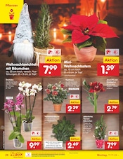 Aktueller Netto Marken-Discount Prospekt mit Orchidee, "Aktuelle Angebote", Seite 34