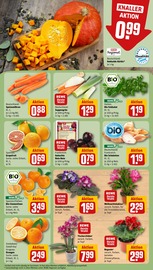 Kürbis im REWE Prospekt in Weiden Aktueller REWE Prospekt mit Kürbis, "Dein Markt", Seite 9