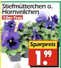 Wreesmann Pirna - Stiefmütterchen o. Hornveilchen Angebot im Prospekt Stiefmütterchen o. Hornveilchen bei Wreesmann im Pirna Prospekt für 1,99 €