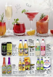 E center Wild im Prospekt 