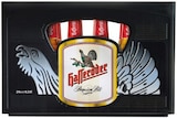 Premium Pils im Angebot bei REWE in Rheda-Wiedenbrück Premium Pils Angebote von Hasseröder bei REWE Rheda-Wiedenbrück für 8,99 €