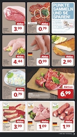 Aktueller famila Nordwest Prospekt mit Rumpsteak, "Markt - Angebote", Seite 7