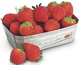 combi Esens - Erdbeeren Angebot im Prospekt Erdbeeren bei combi im Esens Prospekt für