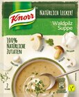 Natürlich Lecker Suppe von Knorr im aktuellen Netto mit dem Scottie Prospekt