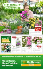 Aktueller ZG Raiffeisen Supermarkt Prospekt in Landeck und Umgebung, "DER SOMMER KANN KOMMEN!" mit 8 Seiten, 22.05.2025 - 28.05.2025