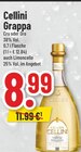 Grappa Angebote von Cellini bei Trinkgut Pulheim für 8,99 €