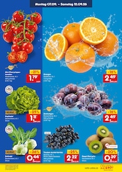 Socken im Netto Marken-Discount Prospekt in Krefeld Aktueller Netto Marken-Discount Prospekt mit Socken, "Aktuelle Angebote", Seite 30