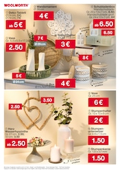 Aktueller Woolworth Prospekt mit Blumentopf, "Aktuelle Angebote", Seite 46