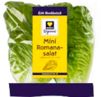 Mini Romasalat im Angebot bei EDEKA in Hamburg Mini Romasalat Angebote von EDEKA Regional bei EDEKA Hamburg für 0,66 €