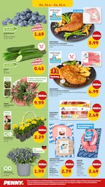 Schweineschnitzel im Penny Prospekt in Leipzig Aktueller Penny Prospekt mit Schweineschnitzel, "Wer günstig will, muss Penny.", Seite 30