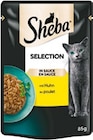 Katzennassnahrung im Netto mit dem Scottie Prospekt Katzennassnahrung von Sheba im aktuellen Netto mit dem Scottie Prospekt für 0,44 €
