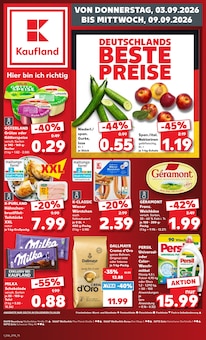 Kaufland Zeitz Prospekt der aktuellen Woche, gültig von 03.09.2026 bis 09.09.2026 Aktueller Kaufland Zeitz Prospekt "Hier bin ich richtig" mit 60 Seiten