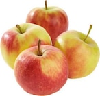 Aktuelle Äpfel Angebote bei EDEKA in Münster Aktuelles Elstar Angebot bei EDEKA in Münster ab 2,49 €