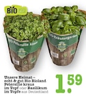 Aktuelle Kräuter Angebote bei E center in Frankfurt (Main) Aktuelles Bio Bioland Petersilie kraus im Topf Angebot bei E center in Frankfurt (Main) ab 1,59 €
