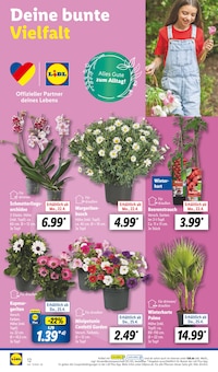 Blumen im Lidl Prospekt "LIDL LOHNT SICH" mit 63 Seiten (Reutlingen)
