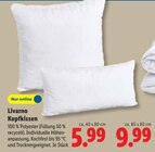 Kopfkissen im Lidl Prospekt Kopfkissen von Livarno im aktuellen Lidl Prospekt für 5,99 €