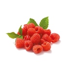 Himbeeren für 1,79 € bei Netto mit dem Scottie im Angebot Himbeeren im aktuellen Netto mit dem Scottie Prospekt