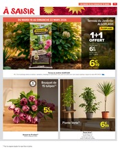 Plantes Angebote im Prospekt "LE MOIS VIP, VERY IMPORTANT PROMOS*" von Carrefour Market auf Seite 73