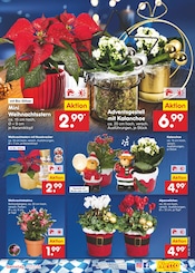 Aktueller Netto Marken-Discount Prospekt mit Weihnachtsstern, "Aktuelle Angebote", Seite 7